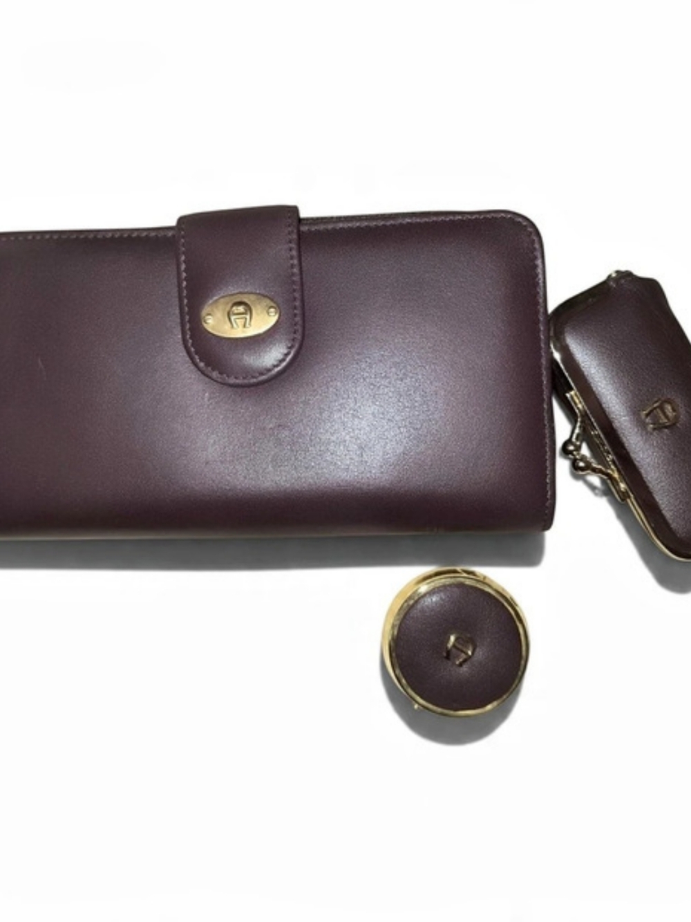 Etienne Aigner Leather Wallet Set in Brown/Burgundy